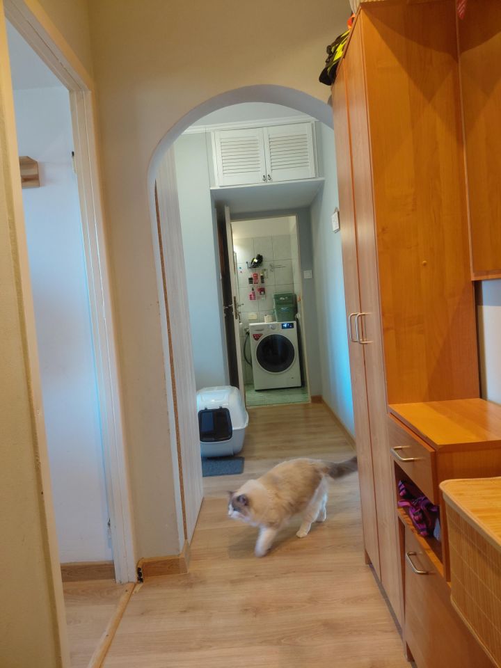 Mieszkanie 2-pokojowe Gliwice Kopernik, ul. Syriusza. Zdjęcie 11