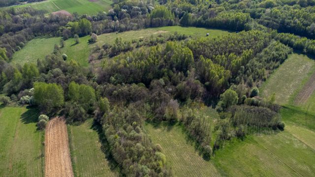 Działka rolna Laskówka. Zdjęcie 10