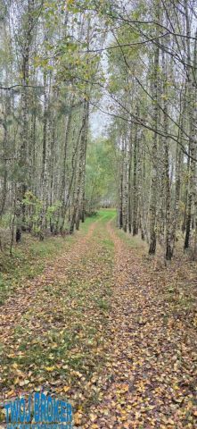 siedlisko, 2 pokoje Tągowie. Zdjęcie 11