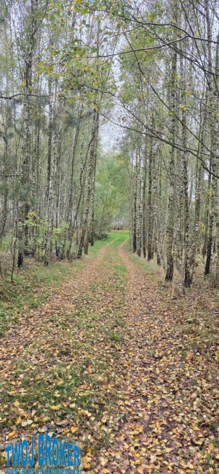 siedlisko, 2 pokoje Tągowie. Zdjęcie 11