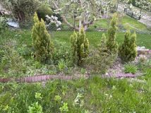 Działka rod Gdańsk Jasień, ul. Źródlana. Zdjęcie 3