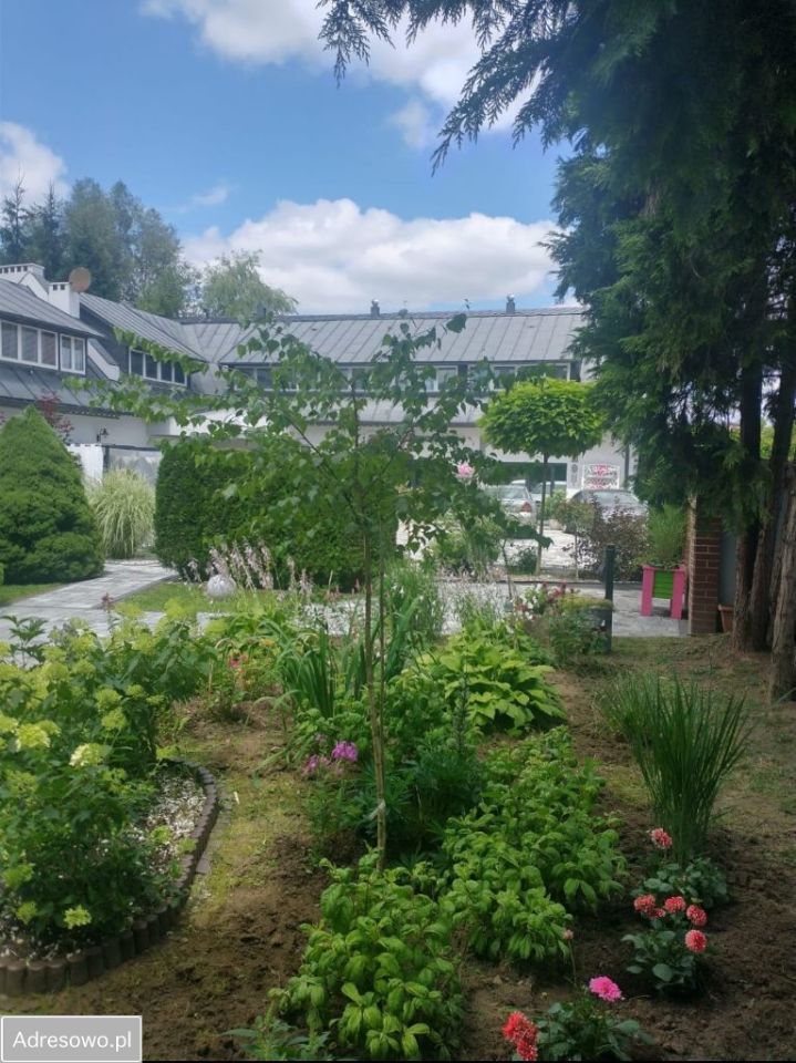 Lokal Ostrów. Zdjęcie 5