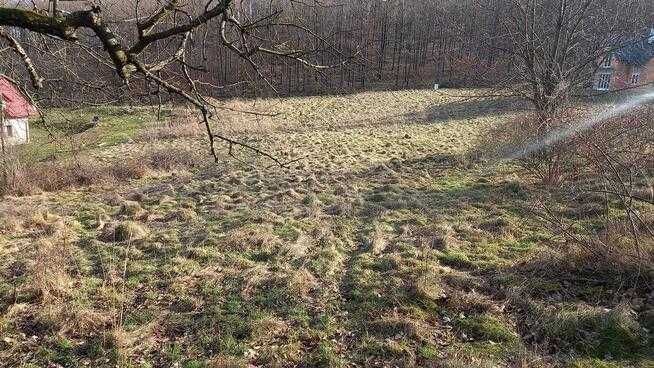 Działka budowlana Kłonice. Zdjęcie 5