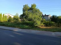 dom wolnostojący Wieluń, ul. Polskiej Organizacji Wojskowej. Zdjęcie 1