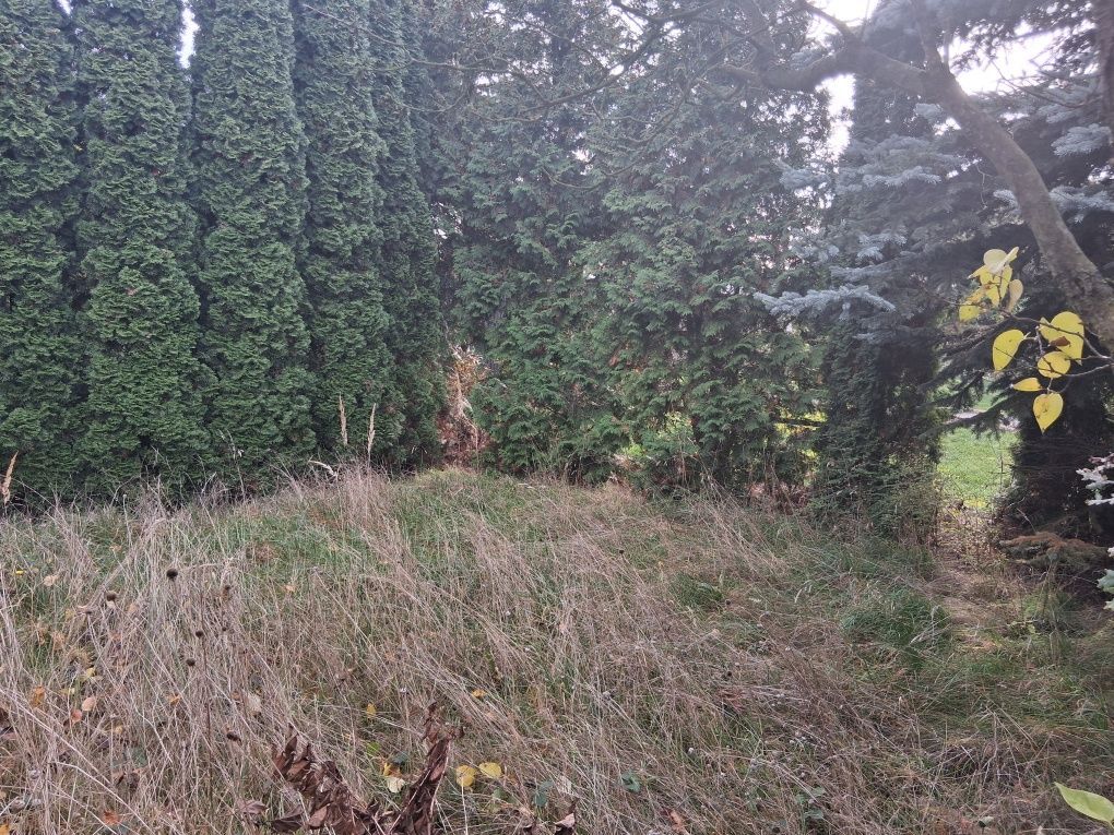 Działka rod Kalisz. Zdjęcie 6