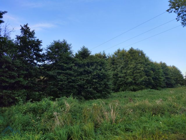 Działka rolna Kołobrzeg. Zdjęcie 2