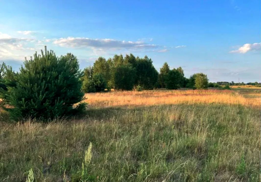 Działka rolna Stęszów. Zdjęcie 3