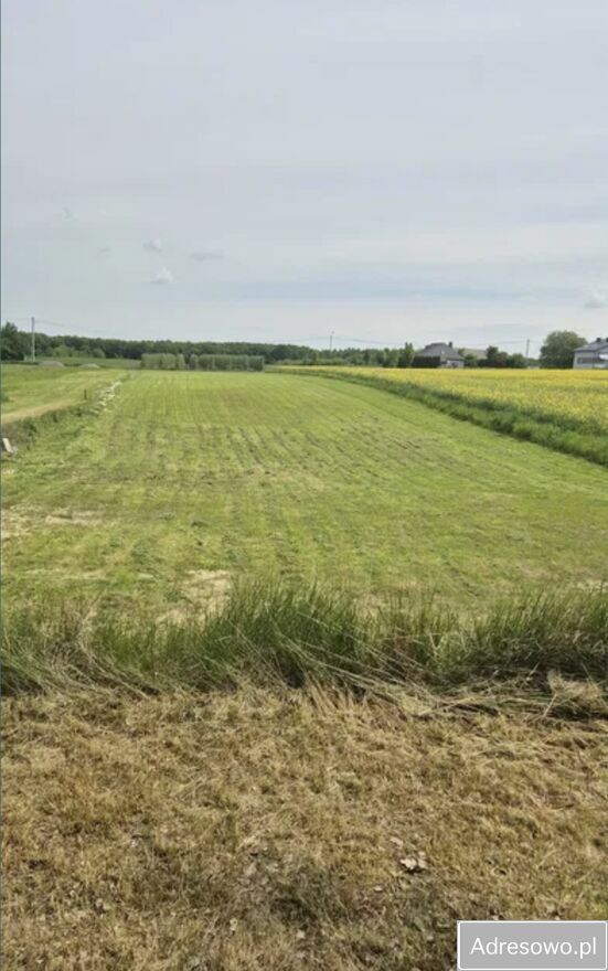 Działka budowlana Terpentyna. Zdjęcie 3