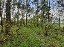 Działka rolna Popielżyn-Zawady. Zdjęcie 2