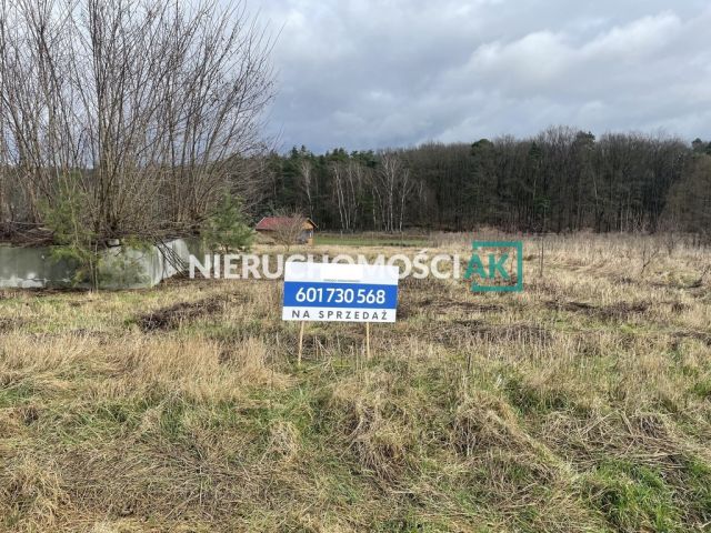 Działka budowlana Dębienko. Zdjęcie 1