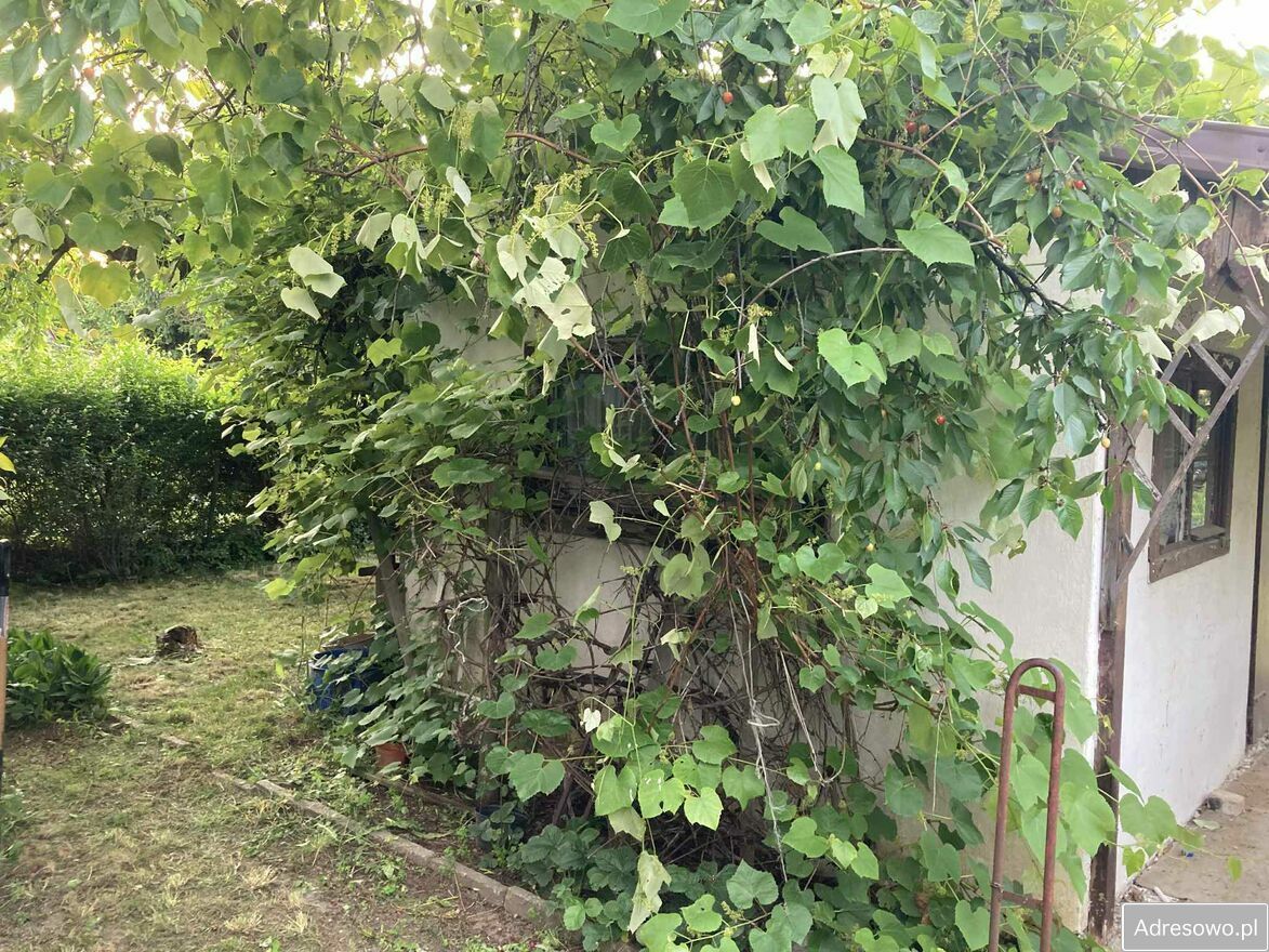 Działka rod Wrocław Osobowice. Zdjęcie 2