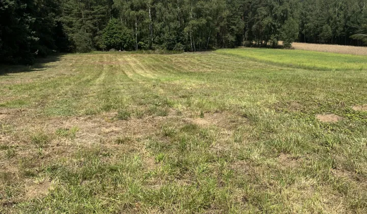 Działka rolno-budowlana Bacze Mokre