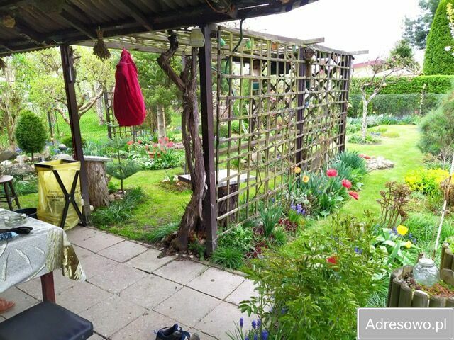 Działka rod Gliwice. Zdjęcie 3