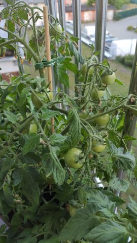 Mieszkanie 4-pokojowe Bydgoszcz Jary, ul. Słoneczna. Zdjęcie 29