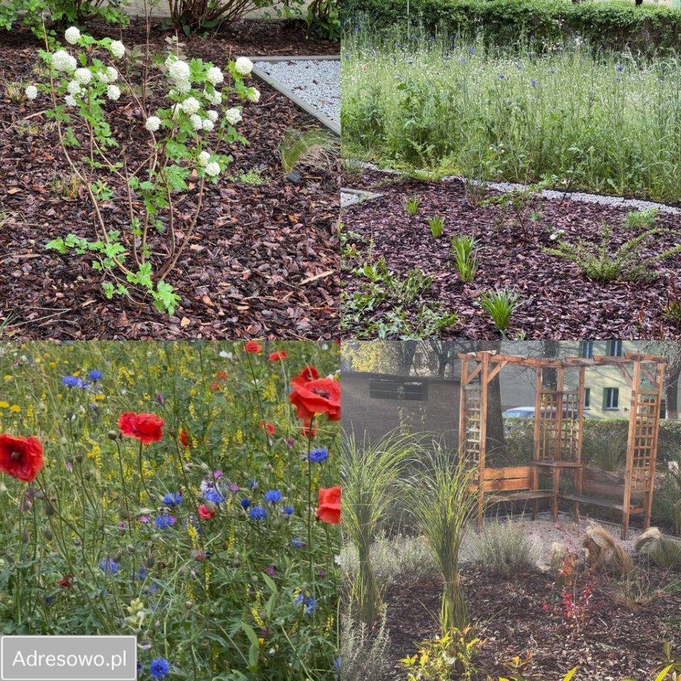 Mieszkanie 3-pokojowe Ruda Śląska Ruda. Zdjęcie 19