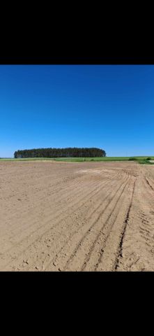 Działka rolno-budowlana Brzeźno Wielkie, ul. Szkolna. Zdjęcie 3
