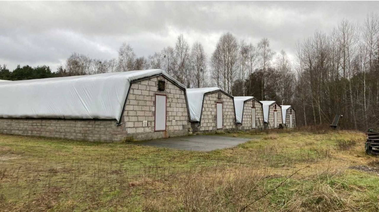 Hala/magazyn Bielsko. Zdjęcie 5