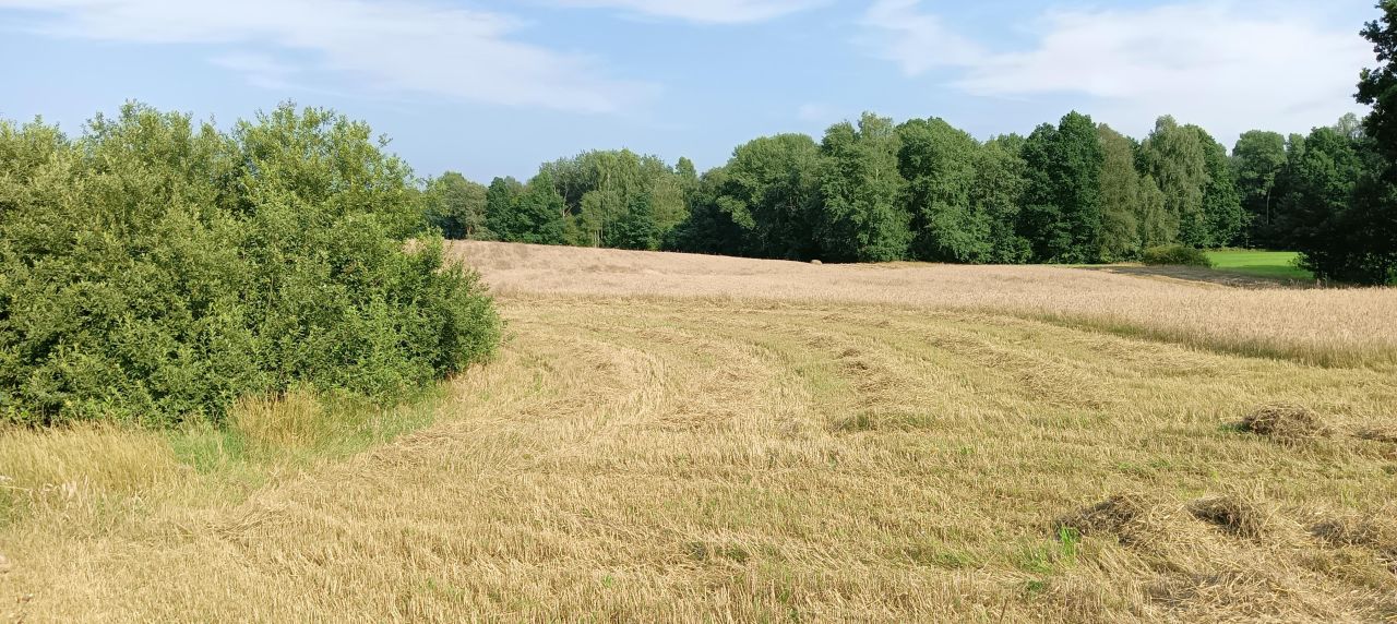 Działka rolna Chmielno Babino. Zdjęcie 5