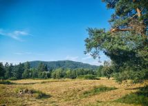 Działka budowlana Jeleśnia, ul. Sosnowa. Zdjęcie 3