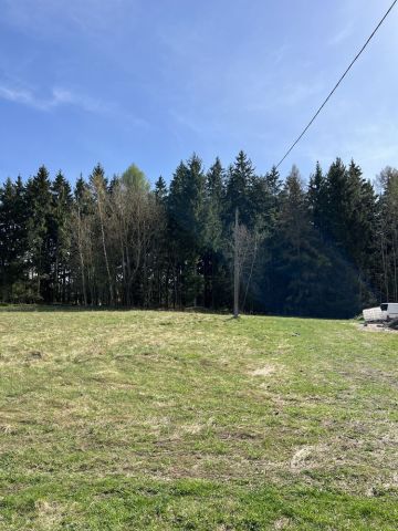 Działka rolno-budowlana Łężyce. Zdjęcie 1