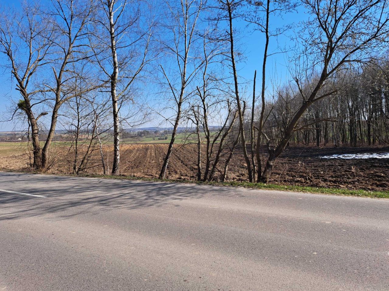 Działka rolna Rachodoszcze. Zdjęcie 2