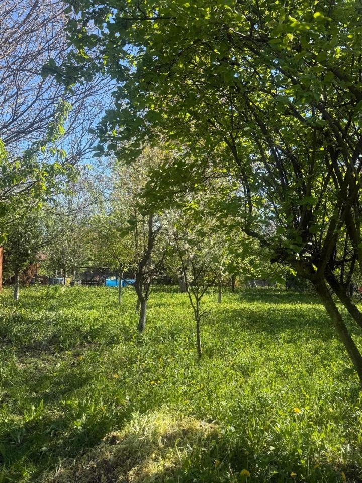 Działka rod Warszawa Saska Kępa. Zdjęcie 3