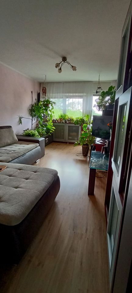 Mieszkanie 3-pokojowe Łódź Bałuty, ul. Olsztyńska