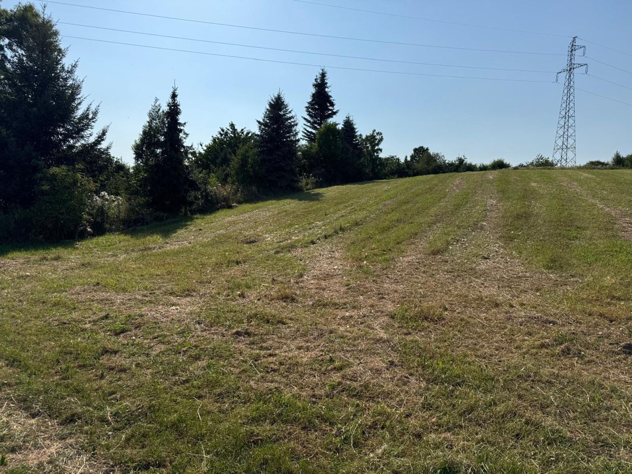 Działka rolna Żerdziny. Zdjęcie 7