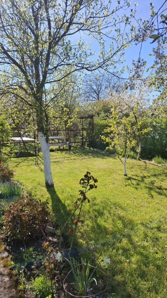 Działka rod Koszalin, ul. Holenderska. Zdjęcie 6