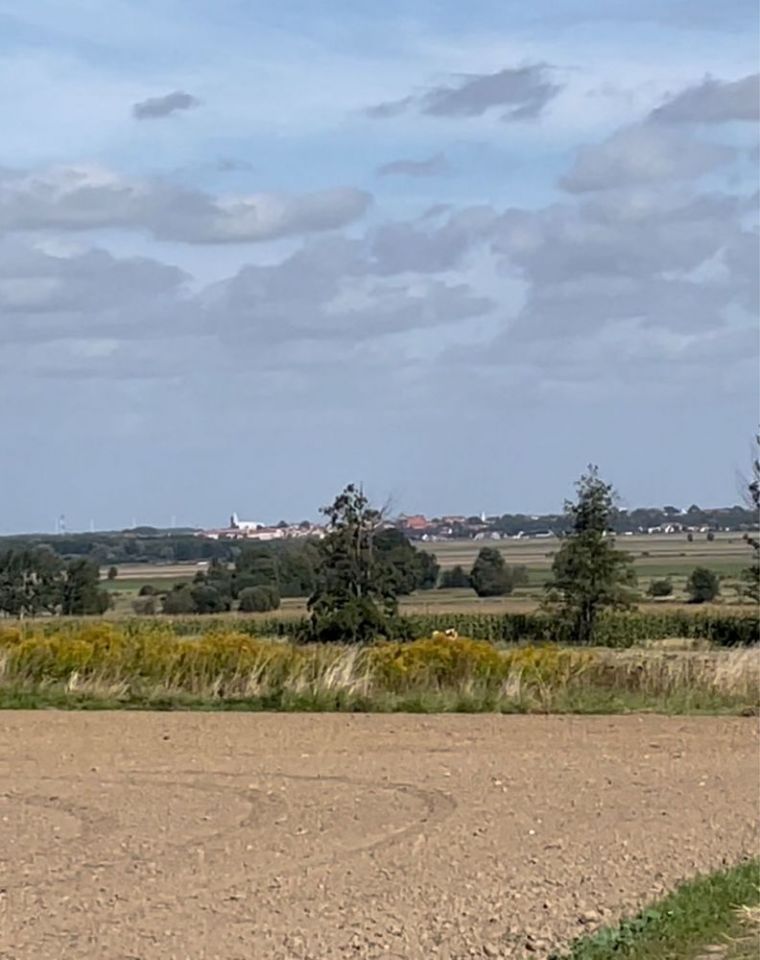 Działka budowlana Paszowice. Zdjęcie 3