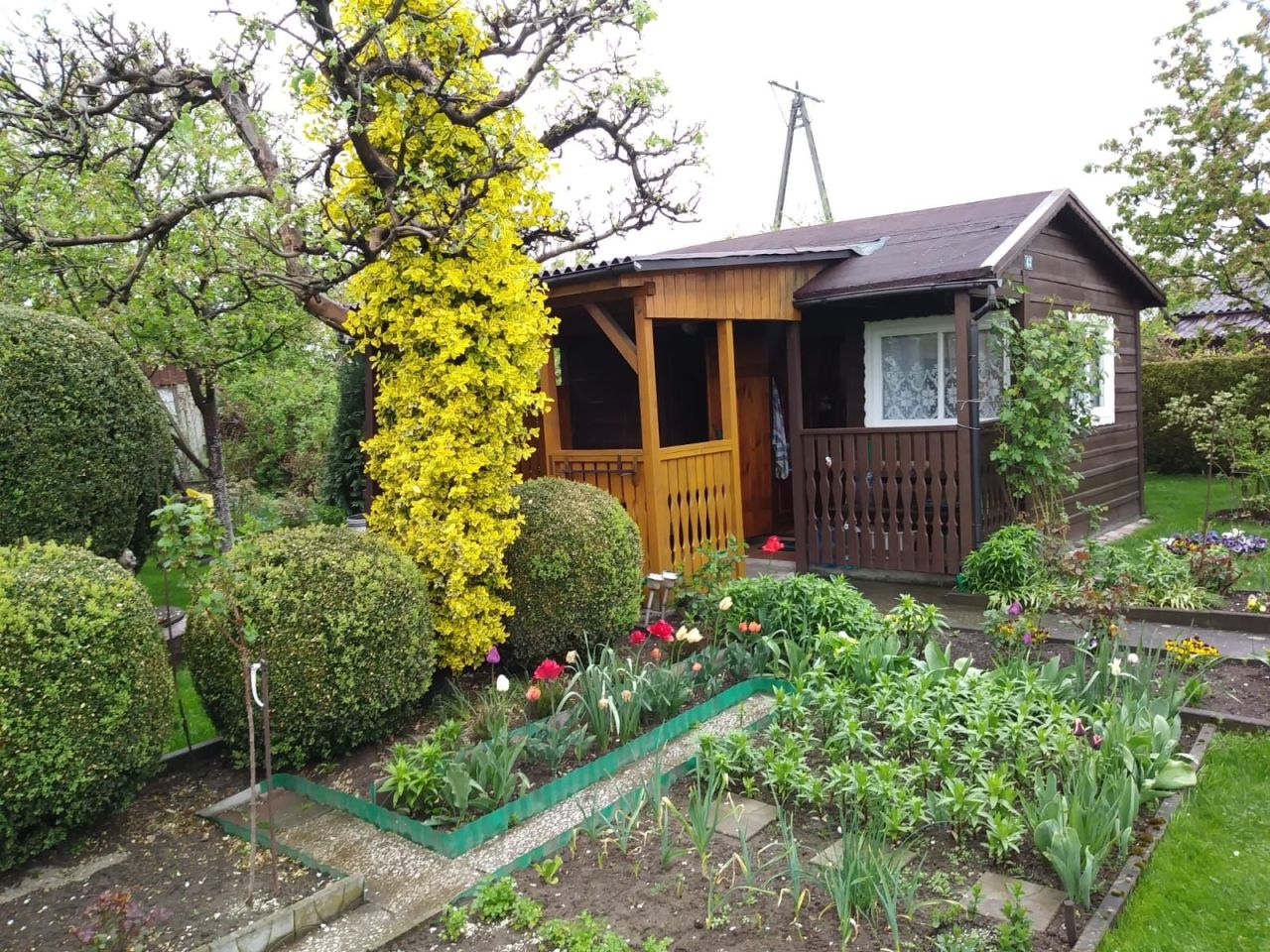 Działka rekreacyjna Żory