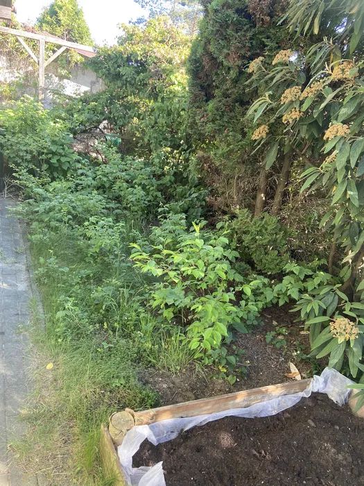 Działka rod Poznań Ławica, ul. Złotowska. Zdjęcie 4