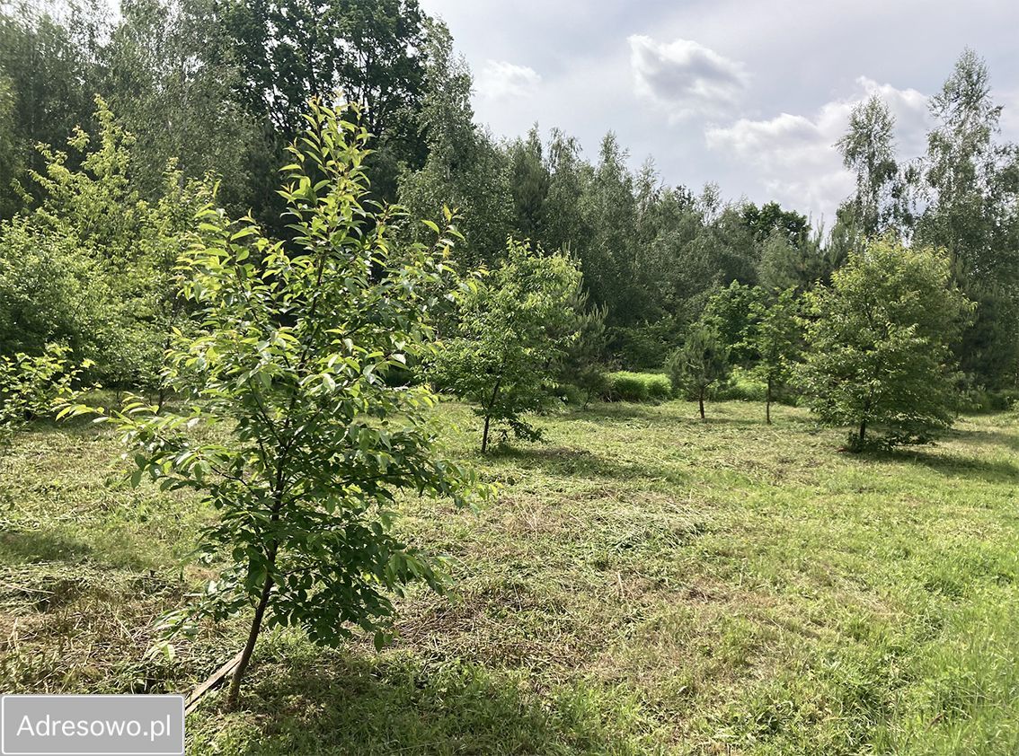 Działka budowlana Książenice. Zdjęcie 7