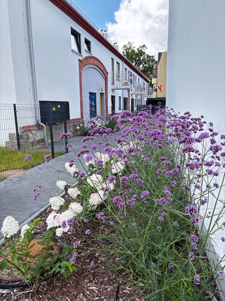 Mieszkanie 2-pokojowe Wrocław Wojszyce, ul. Pawia. Zdjęcie 7