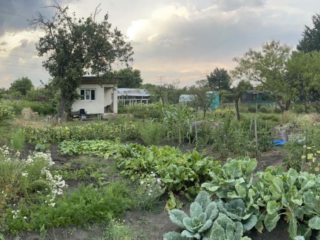 Działka rod Wrocław Fabryczna. Zdjęcie 1