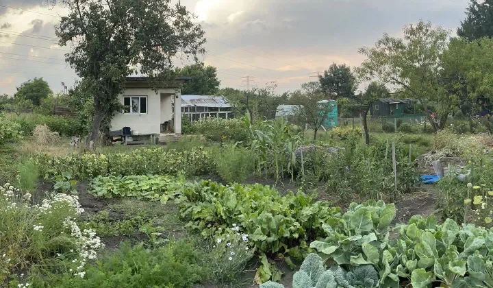 Działka rod Wrocław Fabryczna