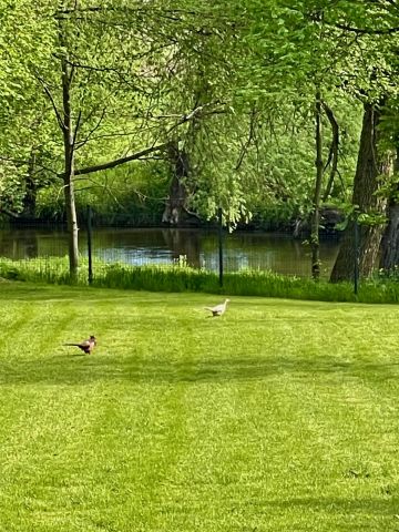 dom wolnostojący, 4 pokoje Kijany, Nad Rzeką Wieprz. Zdjęcie 18