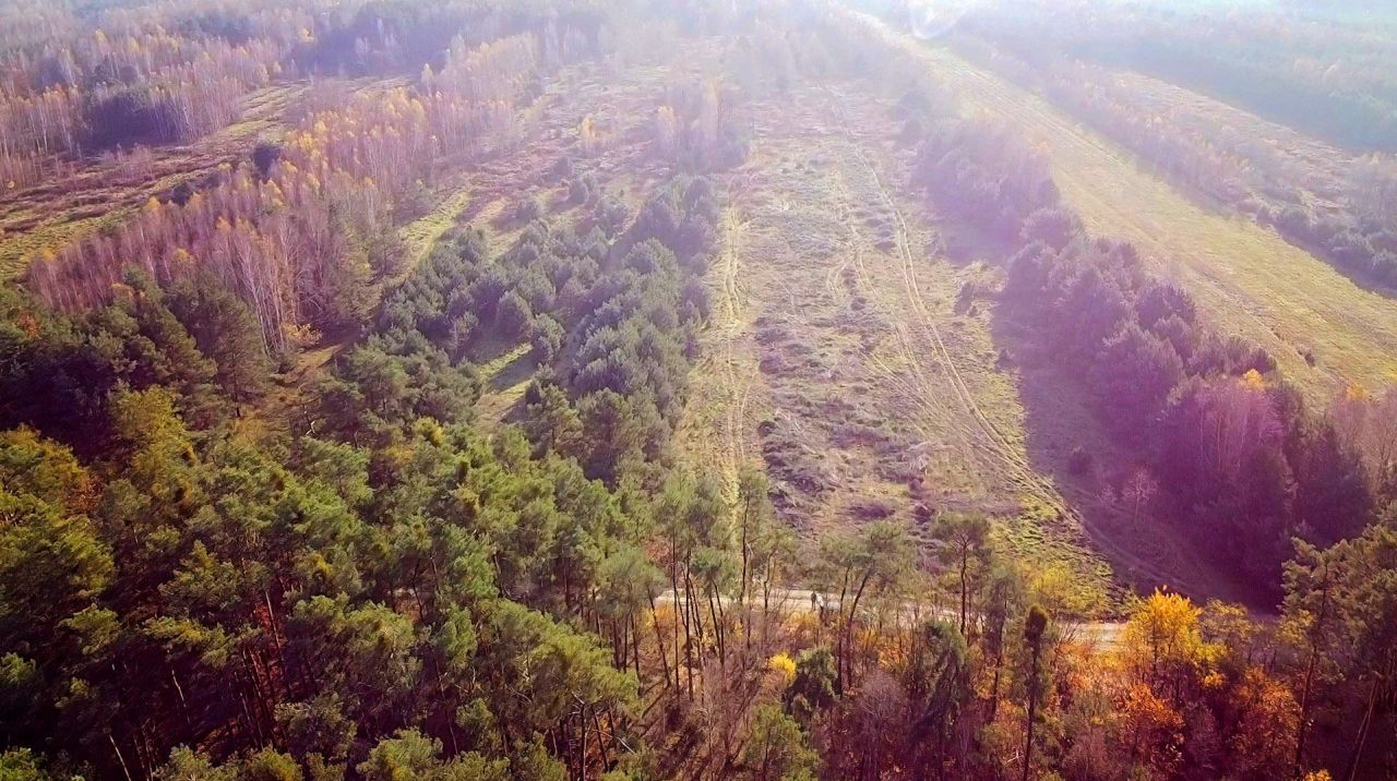 Działka rolno-budowlana Górki. Zdjęcie 4