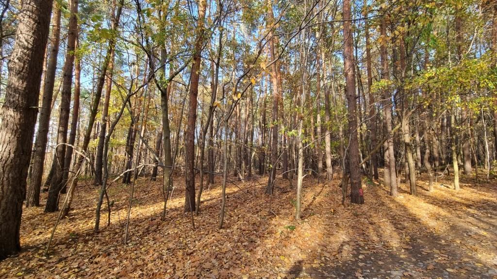 Działka budowlana Strzeniówka, ul. Pruszkowska. Zdjęcie 5