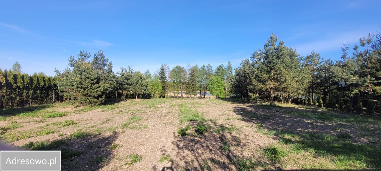 Działka rolno-budowlana Góry Lubiańskie. Zdjęcie 8