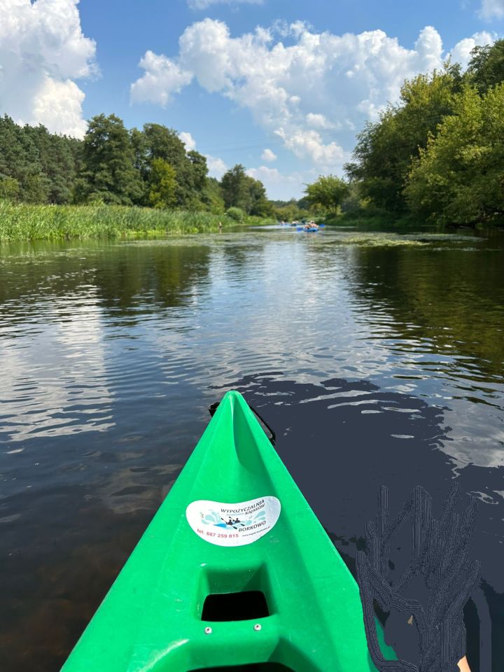 Działka rekreacyjna Zaborze. Zdjęcie 8