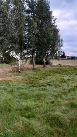 Działka siedliskowa Stara Kamienica, ul. Spacerowa. Zdjęcie 7