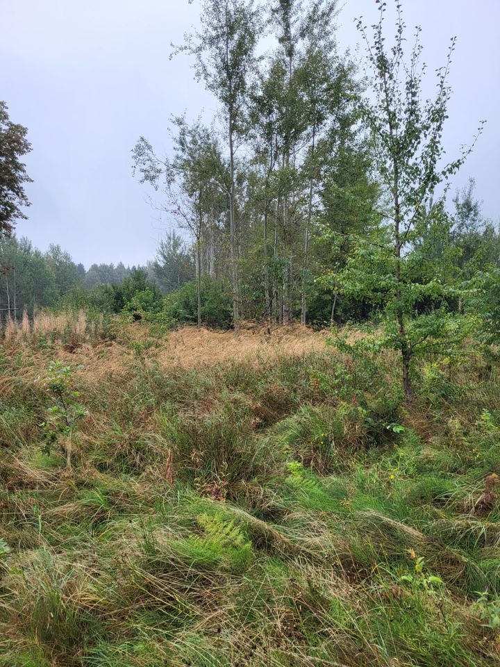 Działka rolna Sorbin Dule. Zdjęcie 6