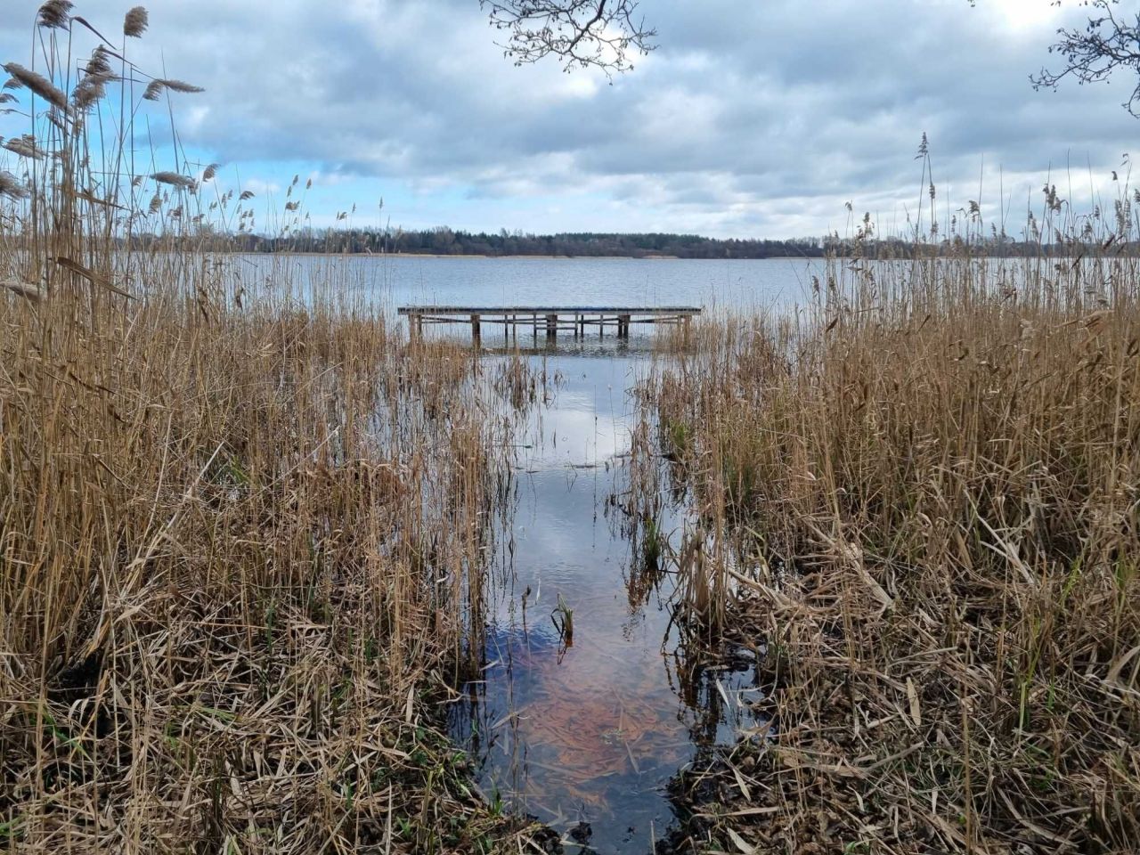Działka rekreacyjna Stefanowo. Zdjęcie 2