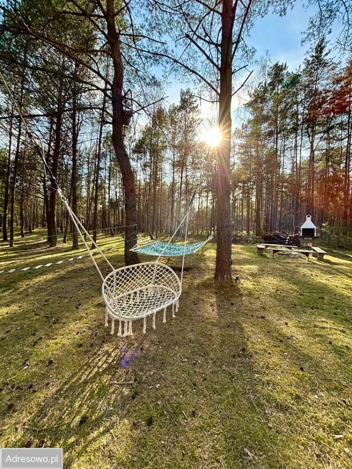 Działka rekreacyjna Stara Kiszewa. Zdjęcie 18