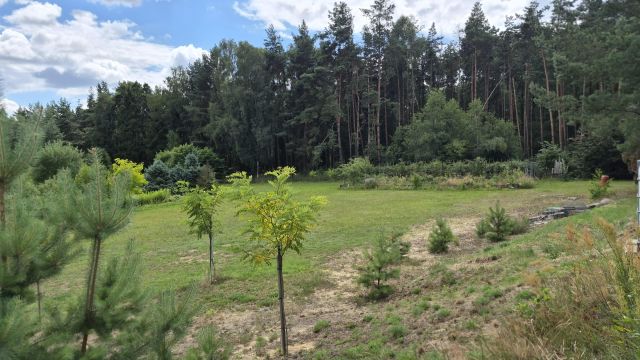 dom wolnostojący, 8 pokoi Bukowina Sycowska. Zdjęcie 4