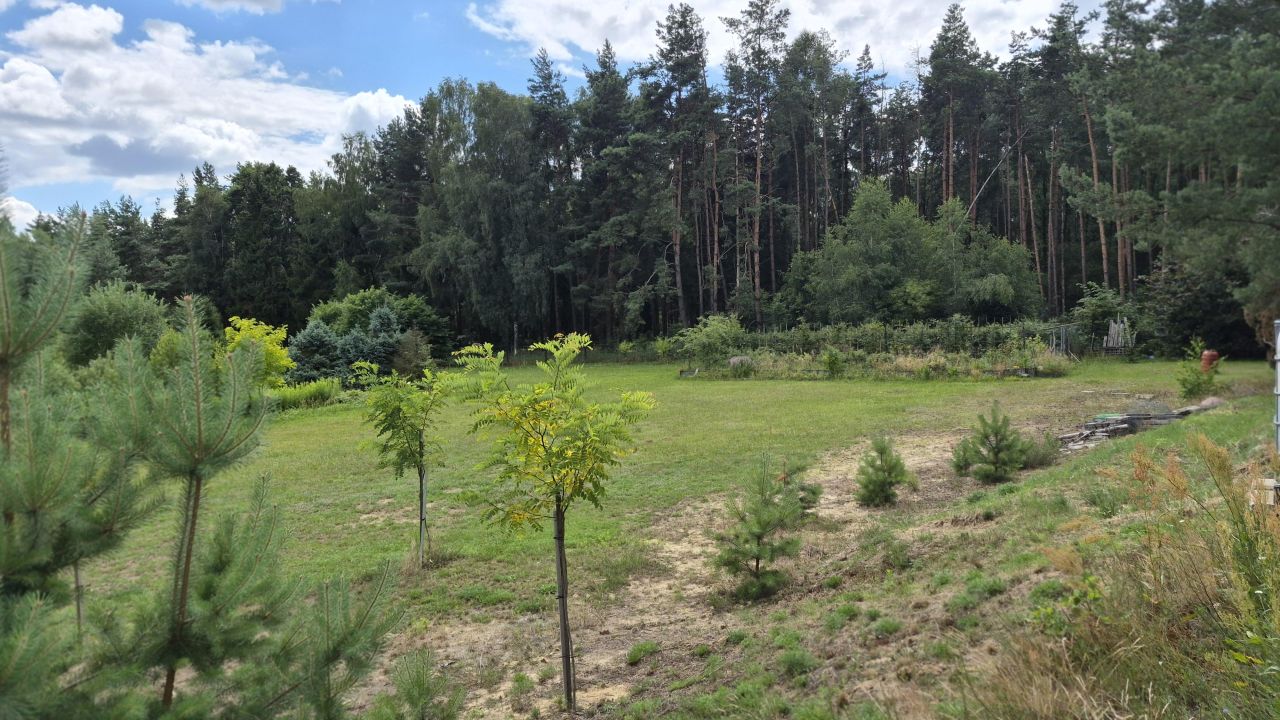 dom wolnostojący, 8 pokoi Bukowina Sycowska. Zdjęcie 4