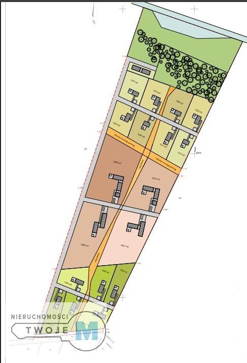 Działka leśna Korczyn. Zdjęcie 10