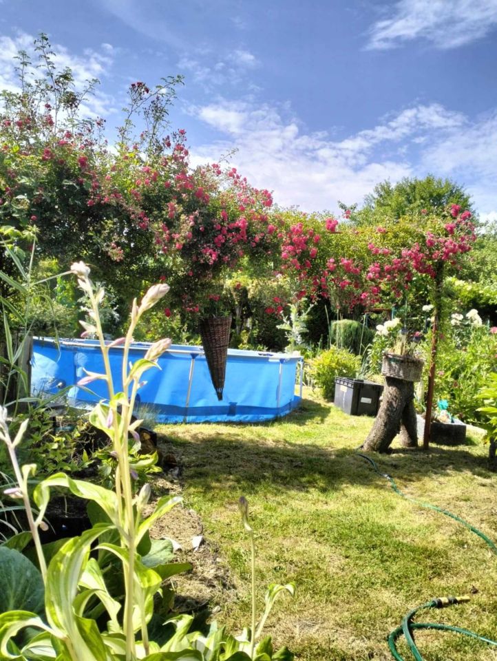 Działka rod Zabrze Helenka. Zdjęcie 3