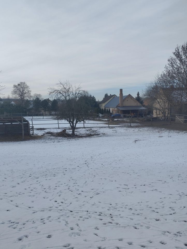 gospodarstwo, 5 pokoi Domaszkowice. Zdjęcie 3